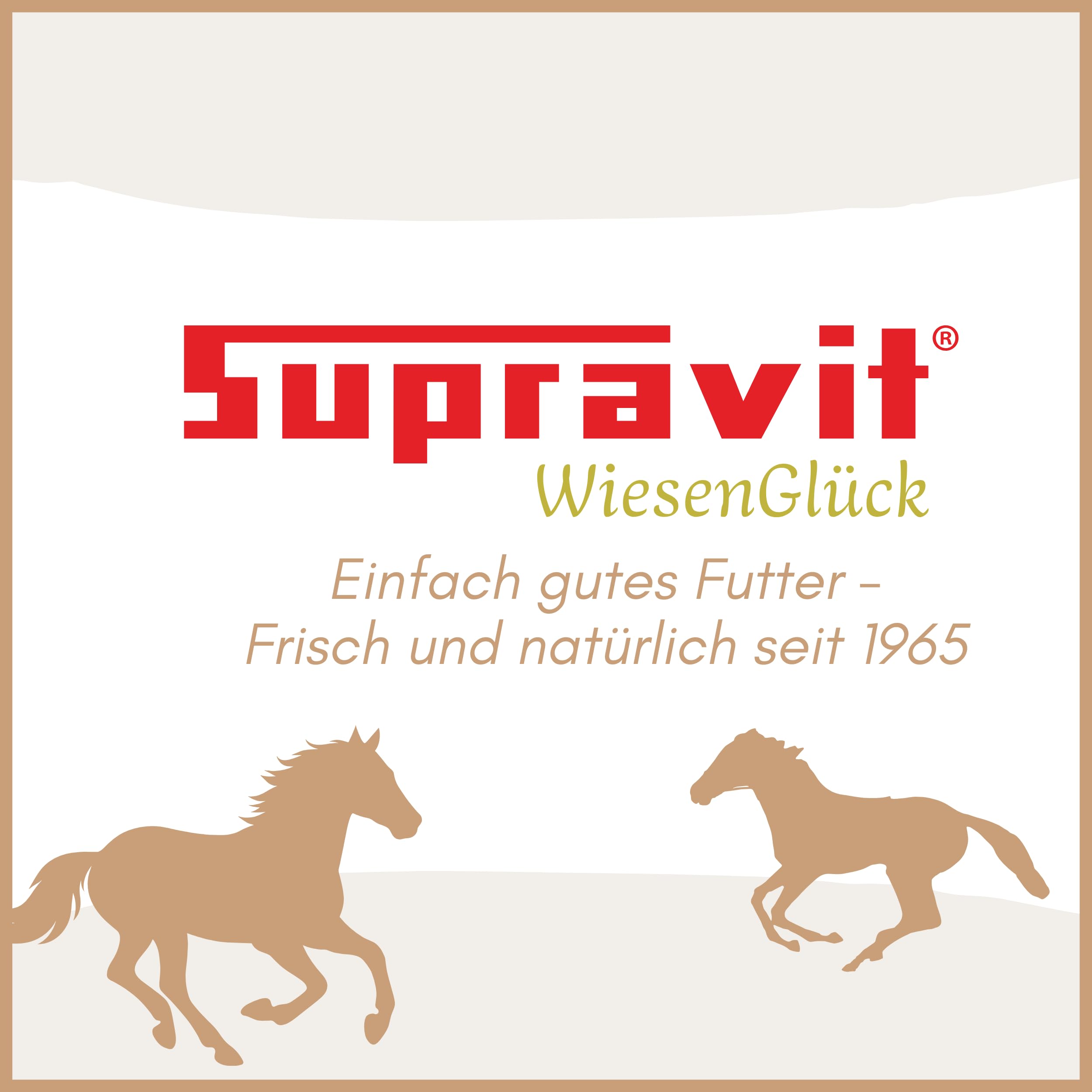 Supravit 20kg Hafer gequetscht | frischer Walzhafer | Energie & Kraftfutter Pferd & Pony I leicht verdaulich & gut verträglich I Wird erst gewalzt kurz vor Versand