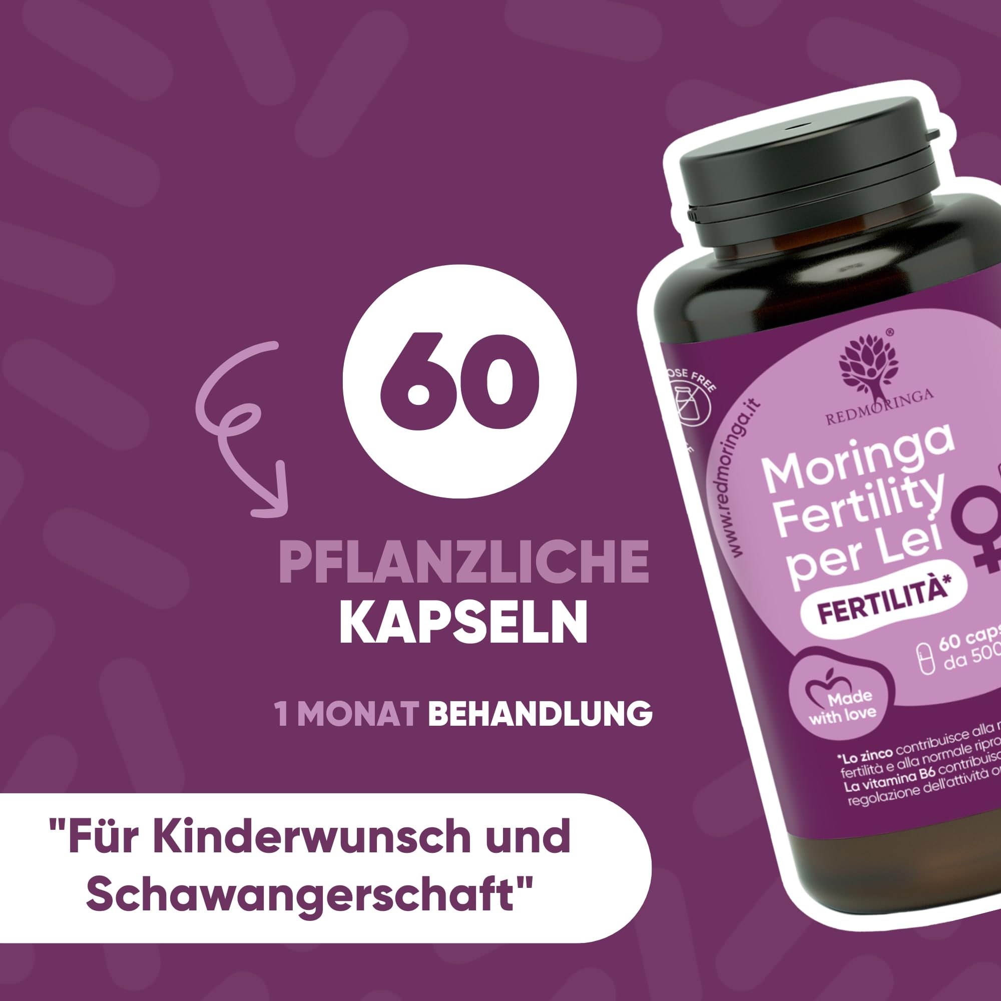 Red Moringa Kinderwunsch & Schwangerschaft Komplex - Moringa Kapseln mit Zink, Vitamin B12 & B6, Folsäure Kinderwunsch - Fördert weibliche Fruchtbarkeit, Hormonunterstützung & Zyklus - 180 Kapseln
