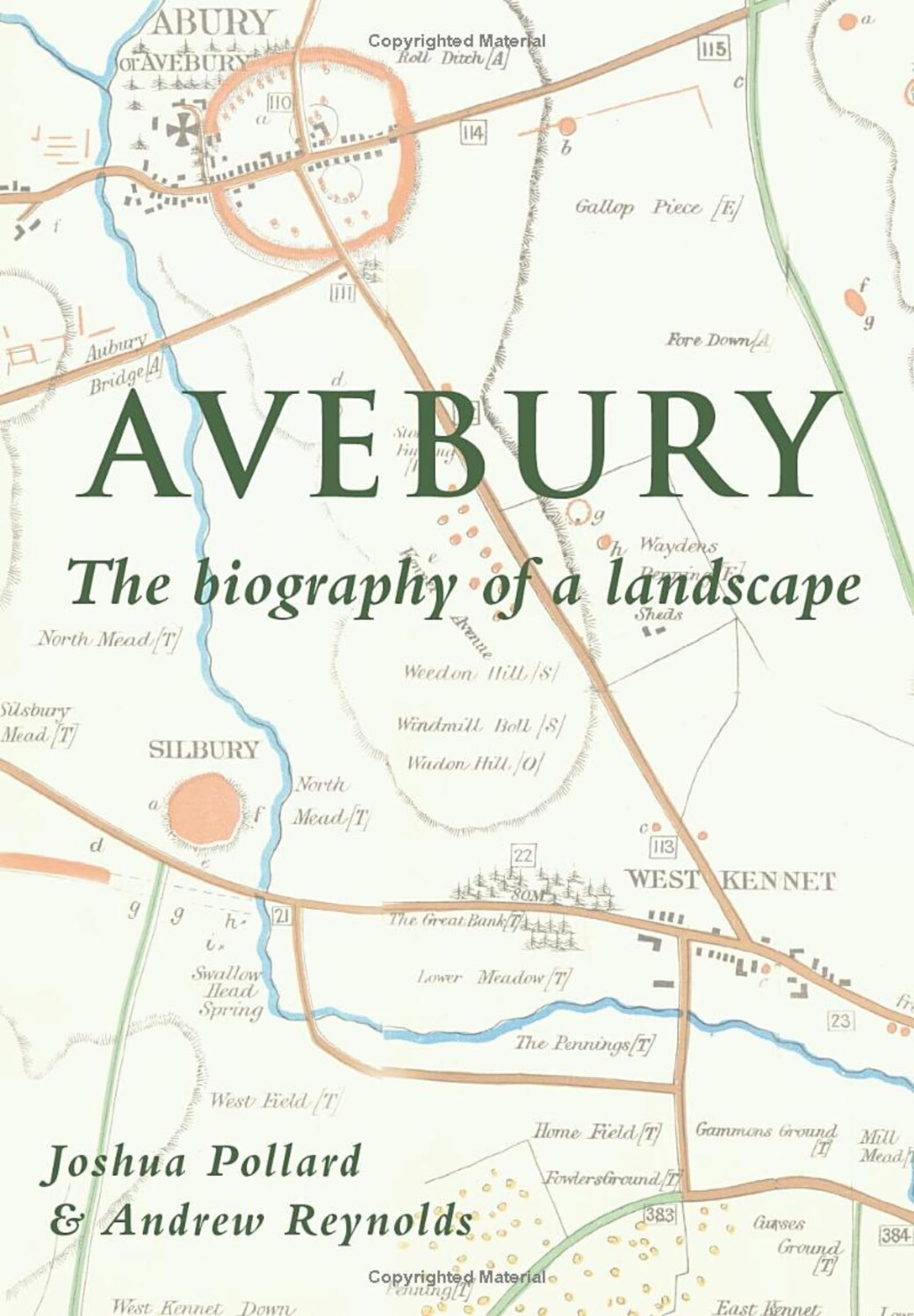 Avebury - Biography of a Landscape