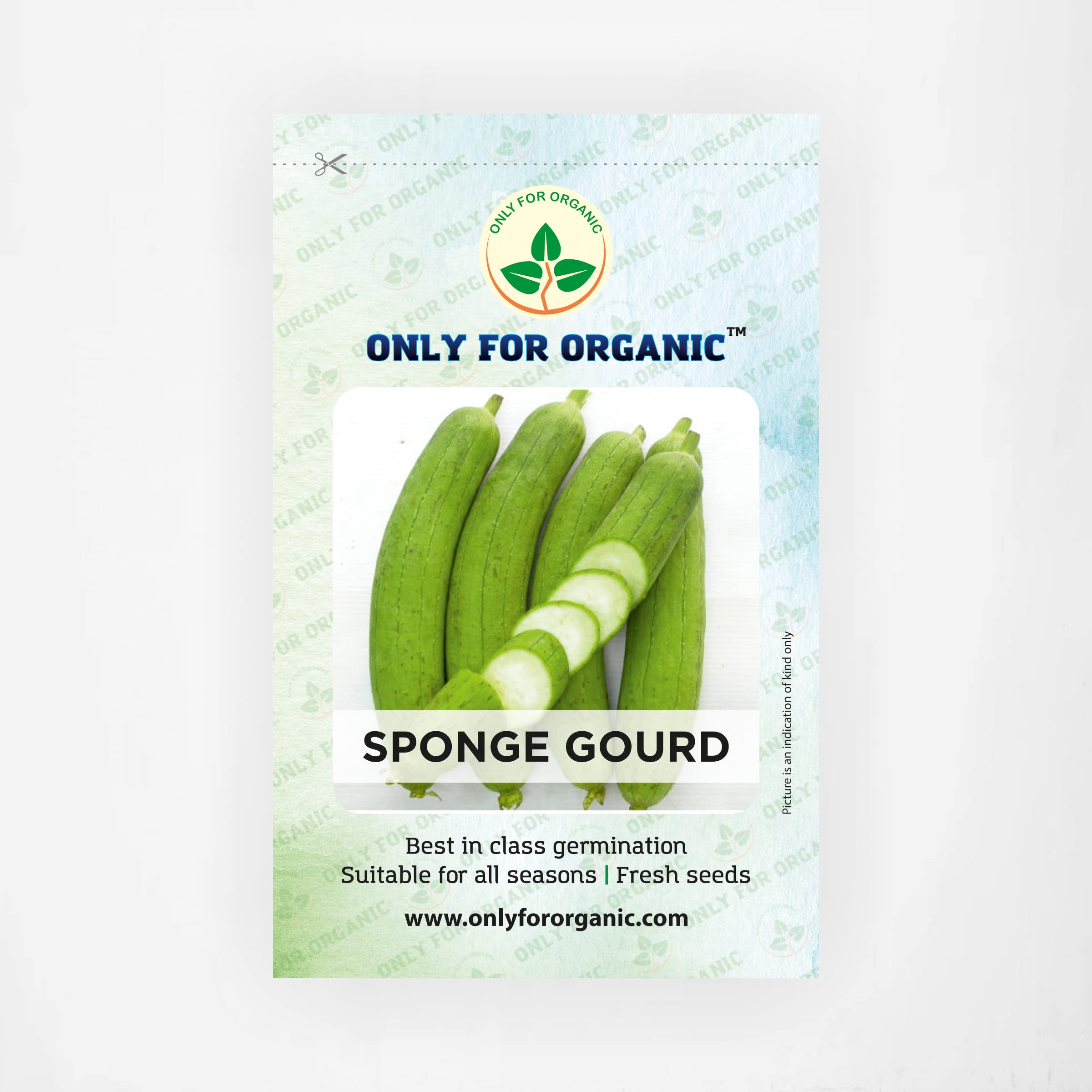 Only For Organic Sponge Gourd Seeds (20 Nos) (B09WN6CWRL) Amazon Price History, Amazon Price Tracker