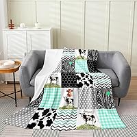 Vista 13 de Erosebridal Manta de arco iris para niñas, tamaño individual de 60 x 80, manta de sol y estrellas para niños y niños, manta de forro polar de nube