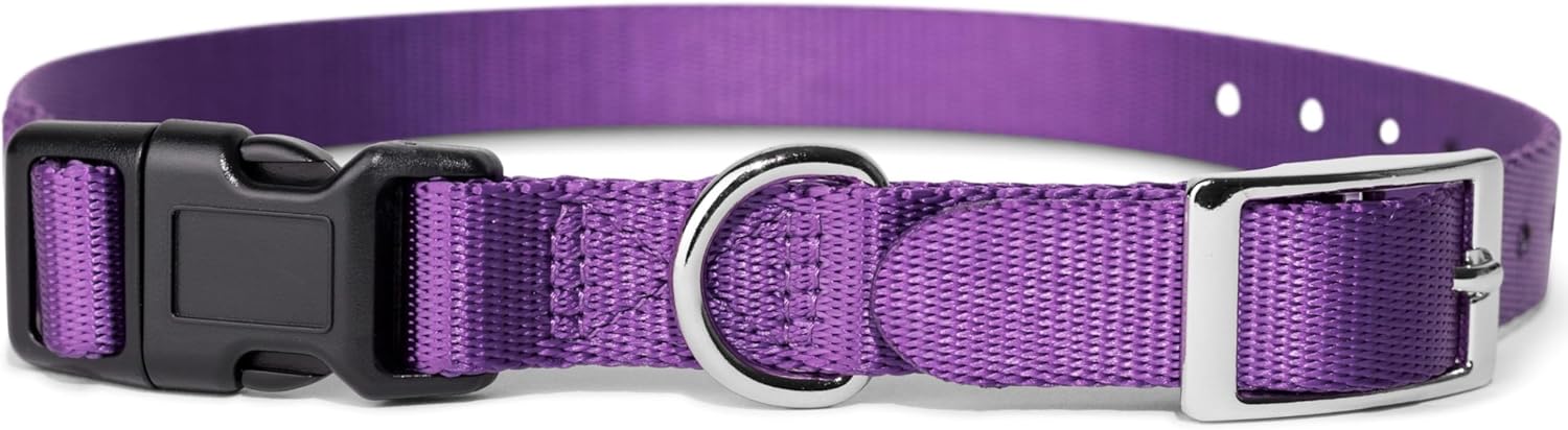 E Collar Replacement Strap, Compatible with SportDog, Petsafe, Invisible Fence, Durable Buckle for Easy on/Off (3/4″, Purple)