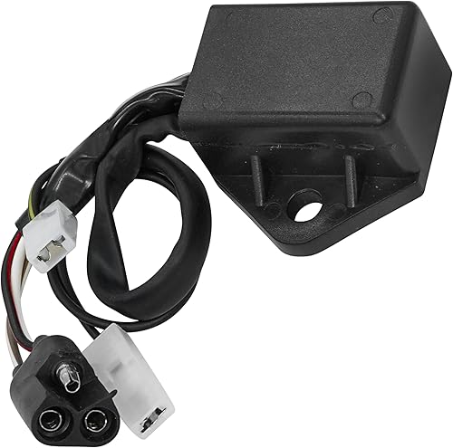 Caltric Caja CDI compatible con Polaris Trailblazer 250 1990 1991 1992 1993 1994-2006