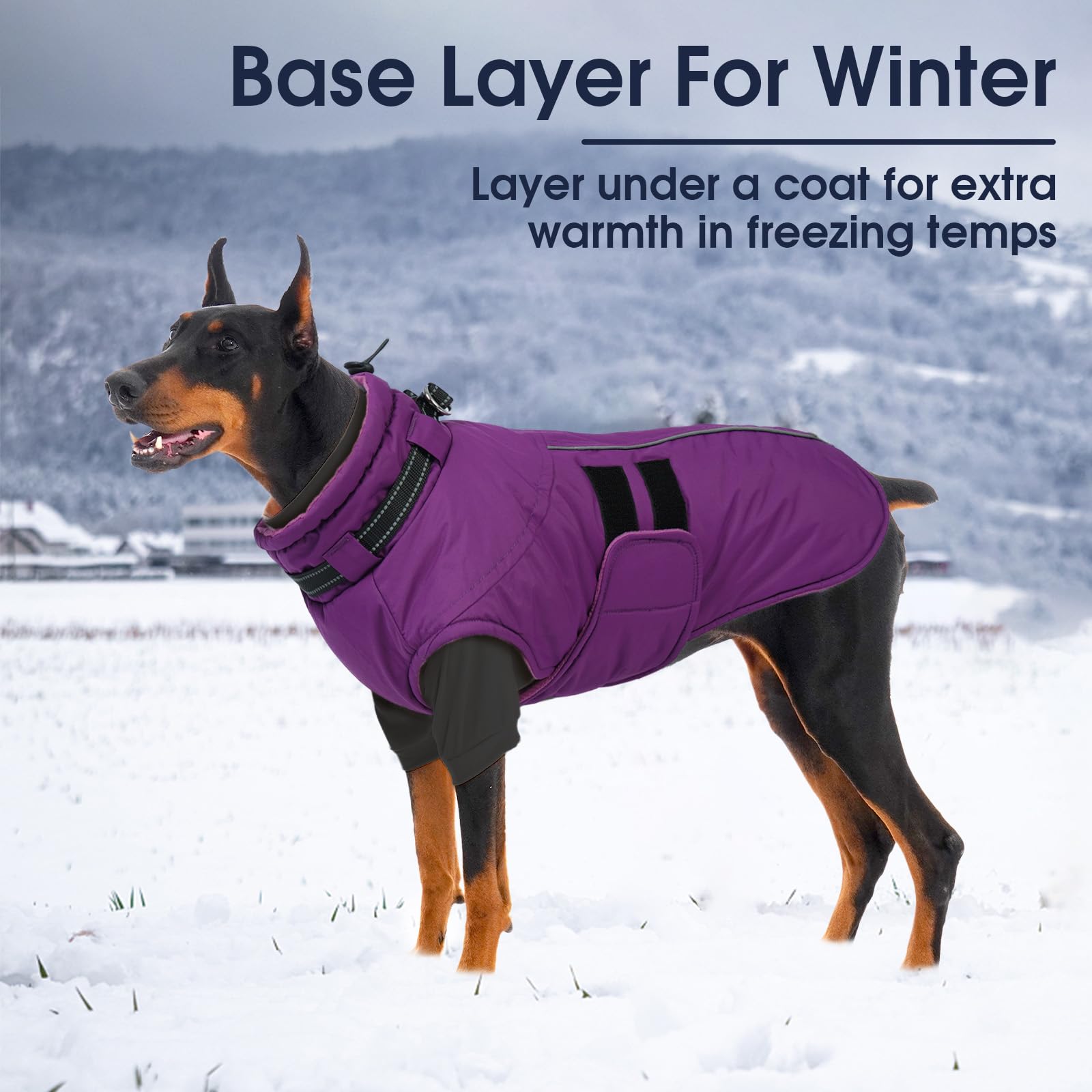 IECOii Lot de 2 pulls en polaire pour chien de petite taille, chaud à col roulé avec extensible pour teckel, pull confortable pour l'automne et l'hiver – Chandail d'intérieur et d'extérieur pour la