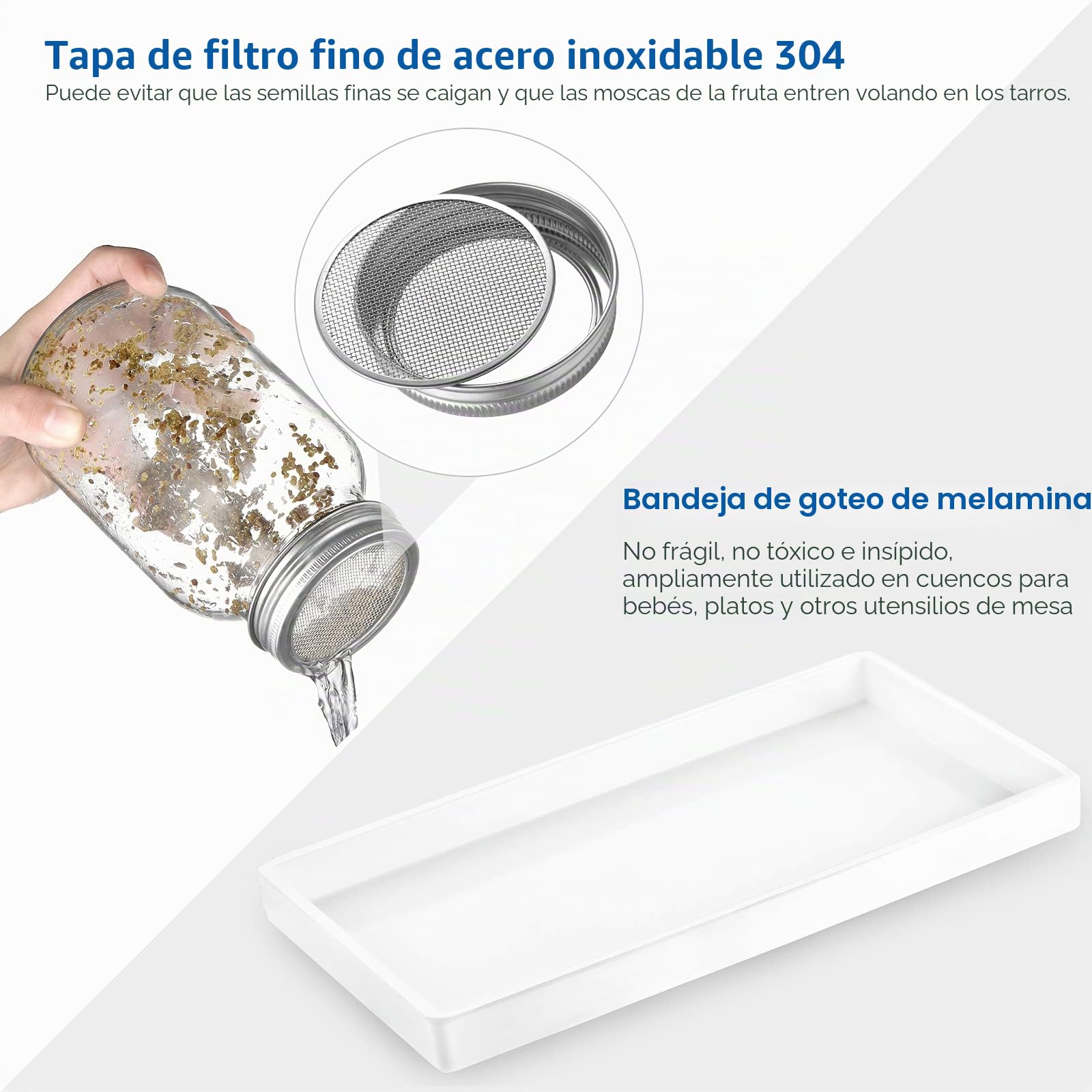 ecooe Sprossen - Juego de 2 vasos de germinación para brotes de cristal con 1 cuenco de agua, 2 cubiertas de rejilla de filtro de acero inoxidable 304 y 2 soportes