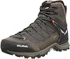 Salewa MTN Trainer Lite Mid GTX