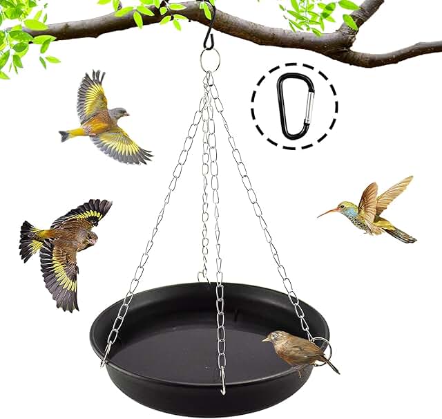 Amazon.co.uk hanging bird bath