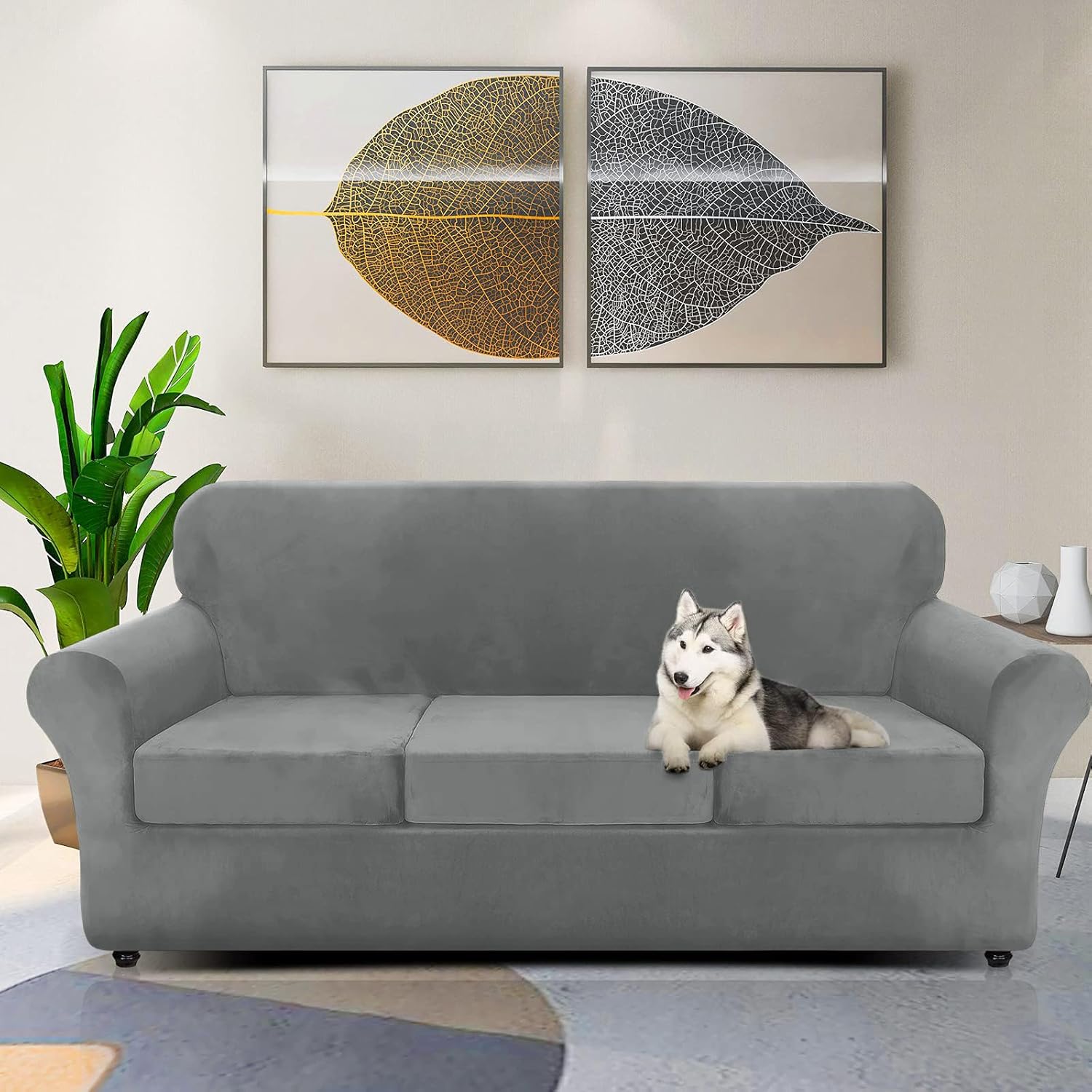 ZNSAYOTX Luxury Velvet Couch Cover 4 Piece (72"-92") Stretch Sofa Covers for 3 Cushion Couch Thick Soft Sofa Slipcover with Non Slip Strap, Dog Pet Friendly Nice Furniture Protector (Grey)