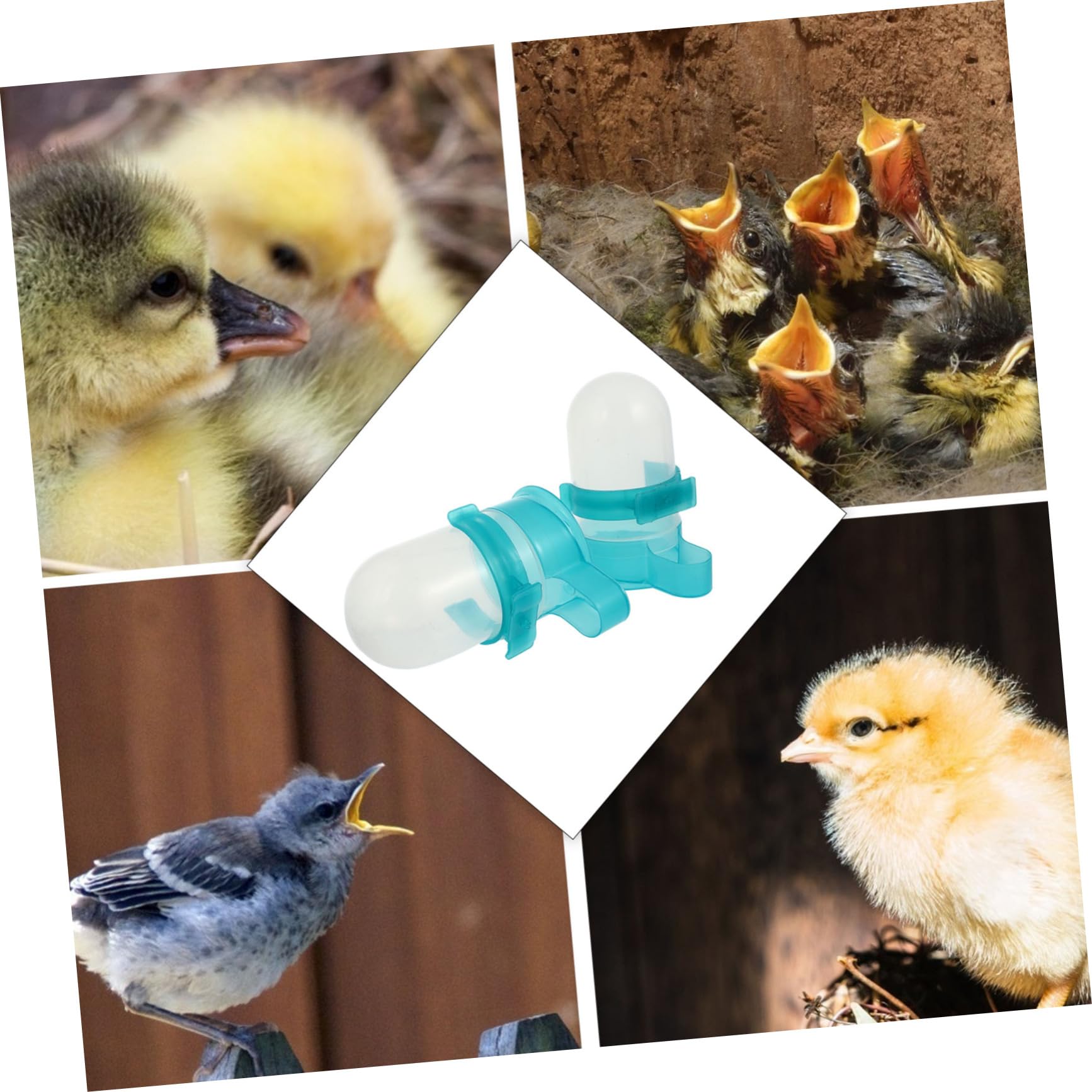 HANABASS Water Feeders Bird Water Dispenser for Cage Auto Drinking Tool 2 Units 500ml Size