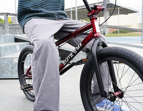 Vista 14 de Elite BMX Bicicleta BMX de 18 pulgadas, 20 y 26 pulgadas para bicicletas de adolescentes y adultos, bicicleta BMX de estilo libre, todos los modelos