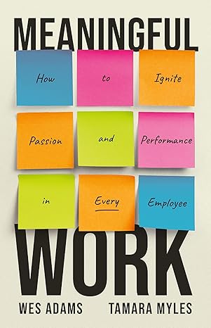 Meaningful Work:How to Ignite Passion and Performance in Every Employee