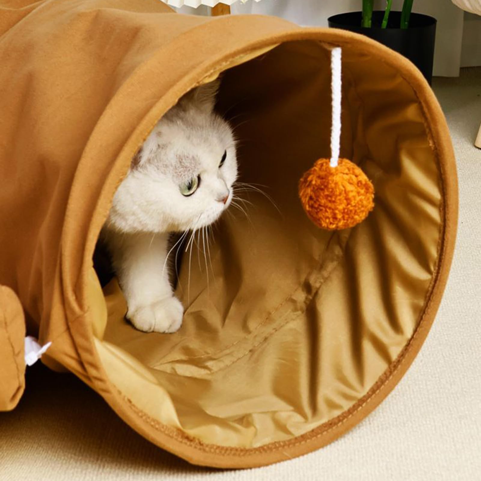 Tunnel Jouet pour Chat Tunnel Grotte de Détachable Lavable Épaissi