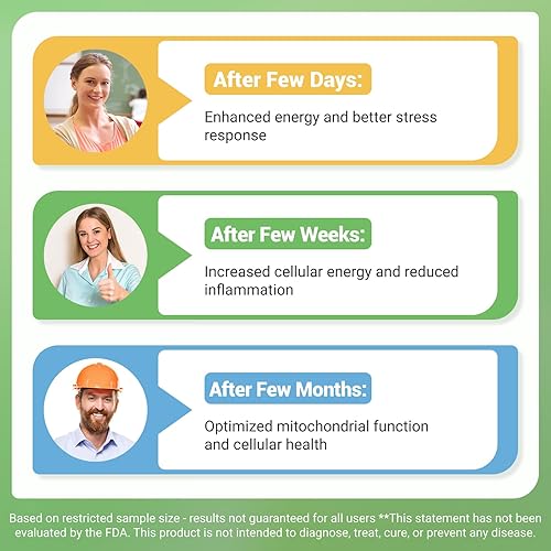 Miniatura 4 de Ribosida liposomal de nicotinamida con trans-resveratrol y urolitina A - Complejo 6 en 1 con Ashwagandha, semilla de uva y extracto de corteza de