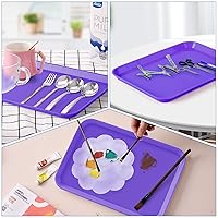 Vista 7 de JMU Bandejas para Procedimientos Dentales Autoclavables Juego de Bandejas Planas Tamaño B 13.25" X 9.75", Bandejas de Plástico para Instrumentos