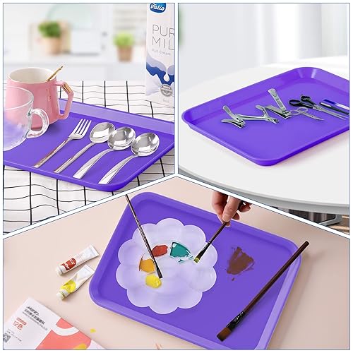 Miniatura 7 de JMU Bandeja de plástico dental autoclavable en autoclave tamaño B, bandeja plana para instrumentos, 13.25 x 9.75 pulgadas, morado