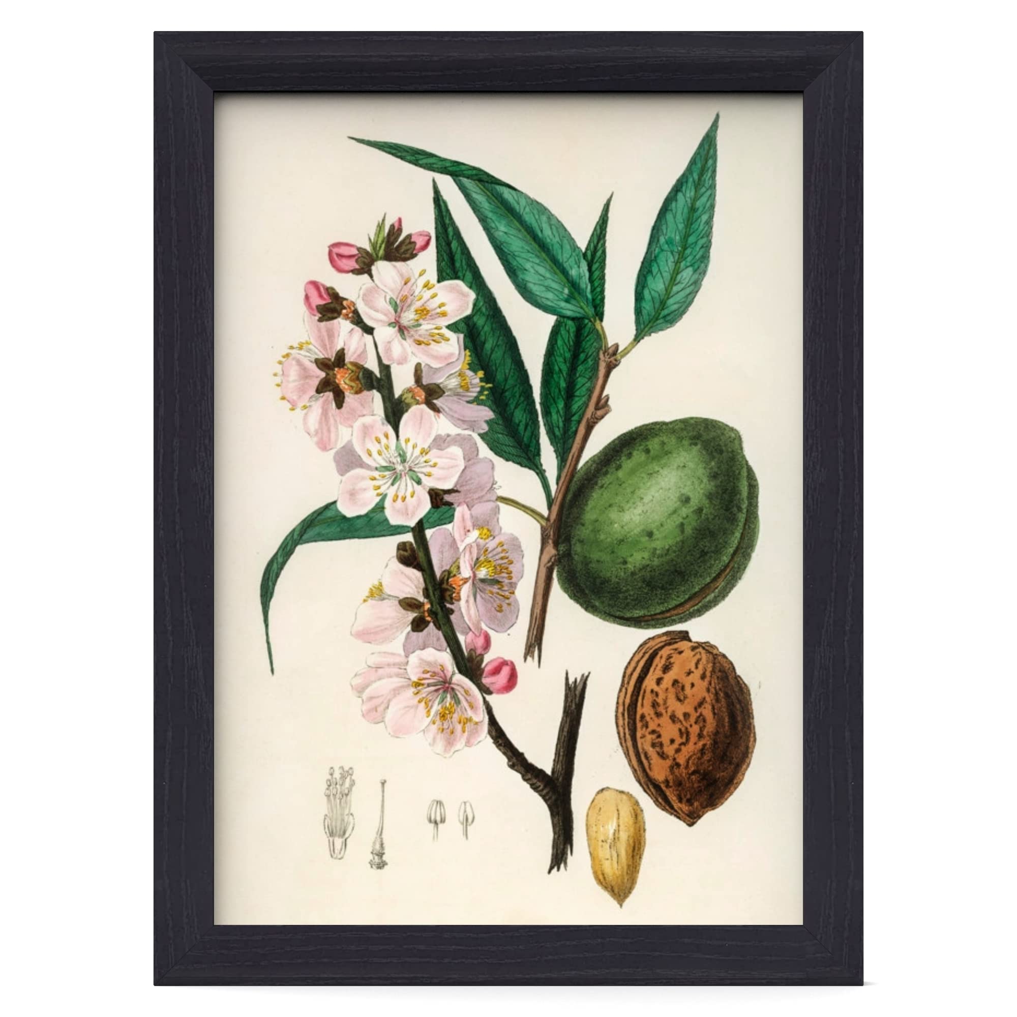 Black A3 Picture Frame - Wall Mounted Photo Frame for Pictures Posters & Certificates - 30 x 42 CM A3 Size Compact Picture Frames