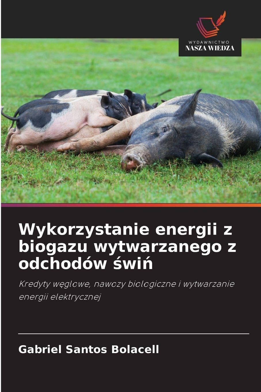 Wykorzystanie energii z biogazu wytwarzanego z odchodów ¿wi¿: Kredyty w¿glowe, nawozy biologiczne i wytwarzanie energii elektrycznej