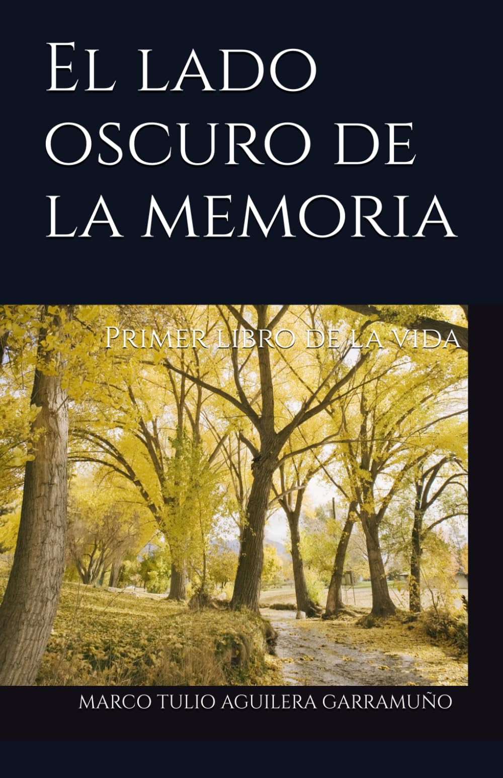 El lado oscuro de la memoria: Primer libro de la vida