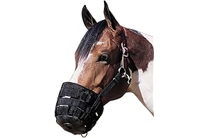 Weaver Leather Grazing Muzzle for Horses