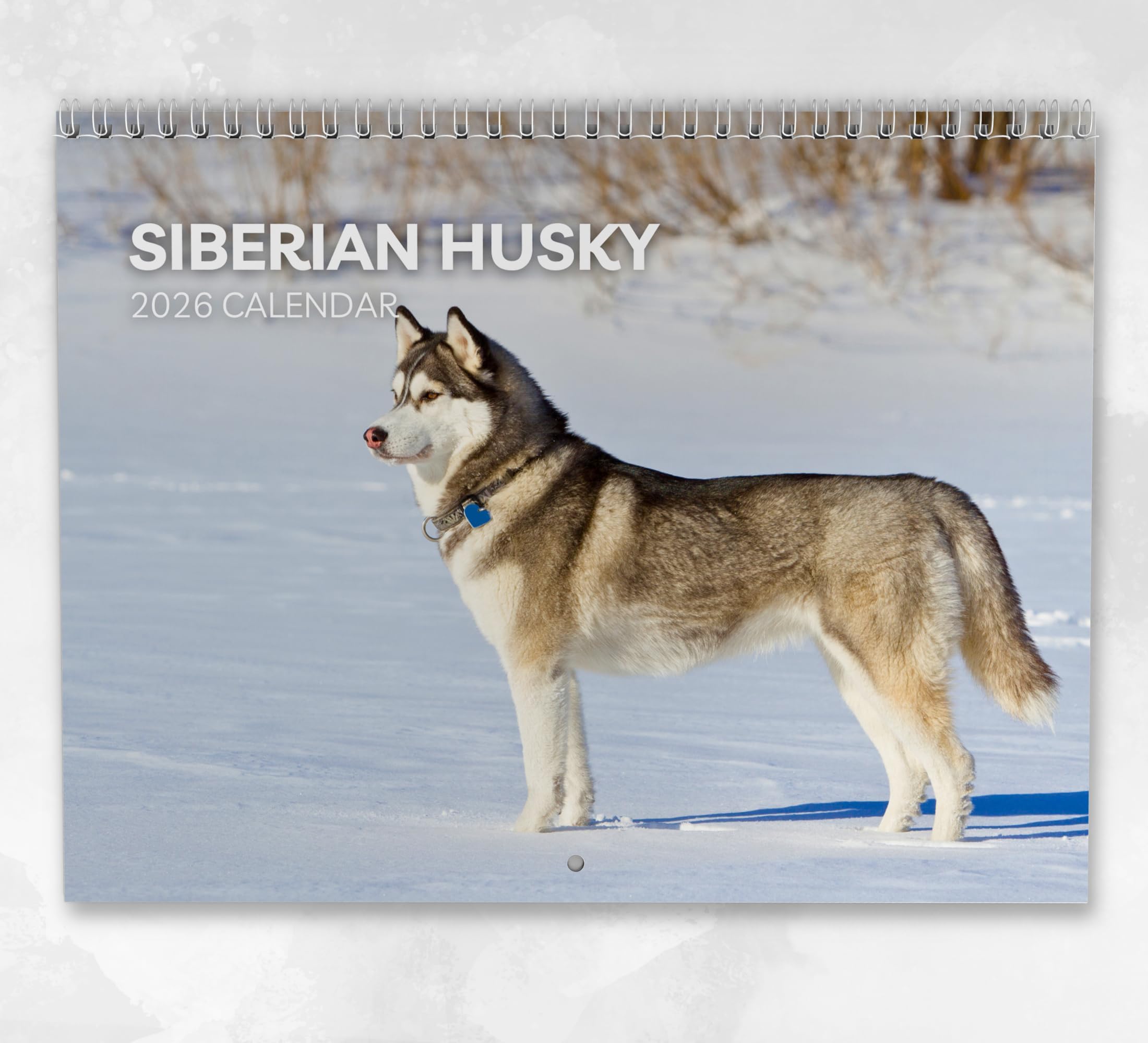 Siberian Husky Calendar 2026: Monthly Wall Calendar with Notes, Hanging A4 Size, Includes key dates & holidays