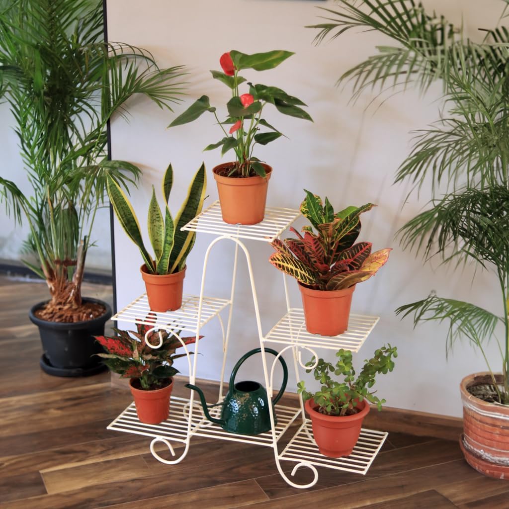S Rock Handicrafts Marvel Planter Stand (Ivory) | Metal Pot Stand for Multiple Plants | Indoor/Outdoor | for Balcony, Living Room Decor | for 6 Planters (B0CND85FBC) Amazon Price History, Amazon Price Tracker