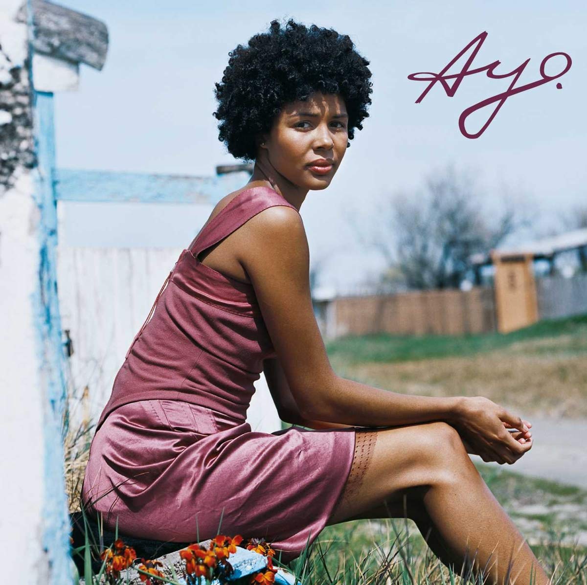 Joyful [Audio CD] Ayo; Ay?; Larry Campbell; Brian John Mitchell; Brian Mitchell; Daniel Sadownick and James Wormworth