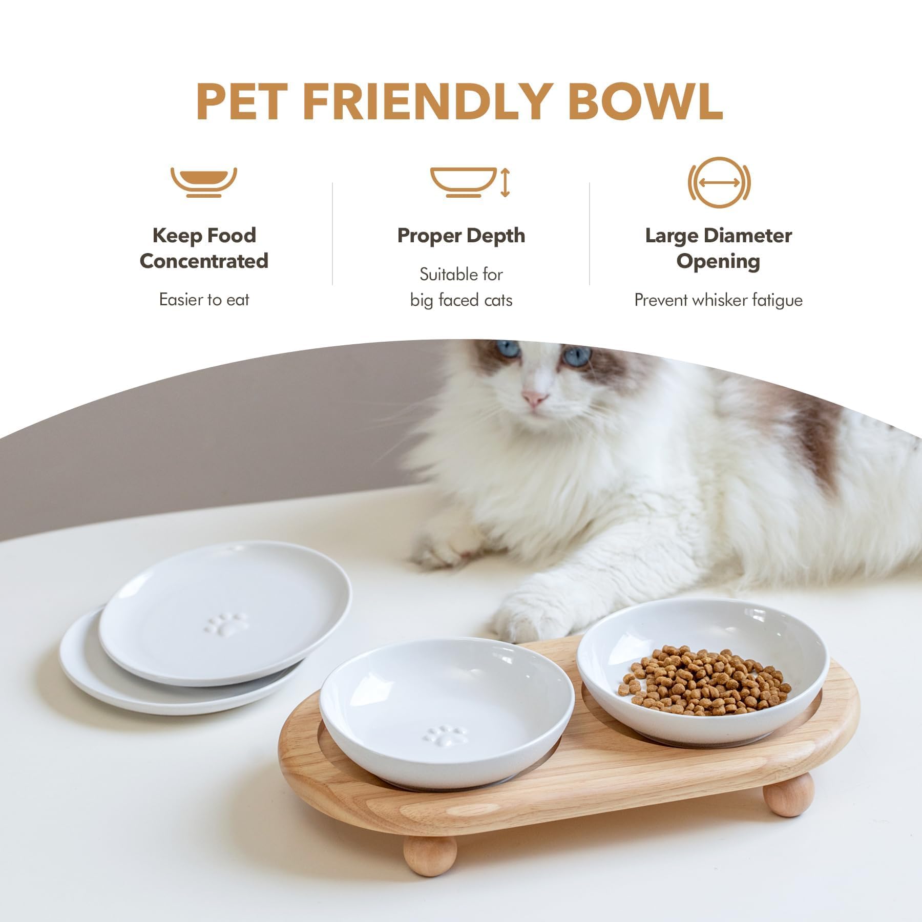 Havniva Gamelles surélevées antidérapantes en céramique pour chat de 14,2 cm avec support - Peu profonde, adaptée aux moustaches - Pour eau et nourriture pour chat avec deux options de hauteur