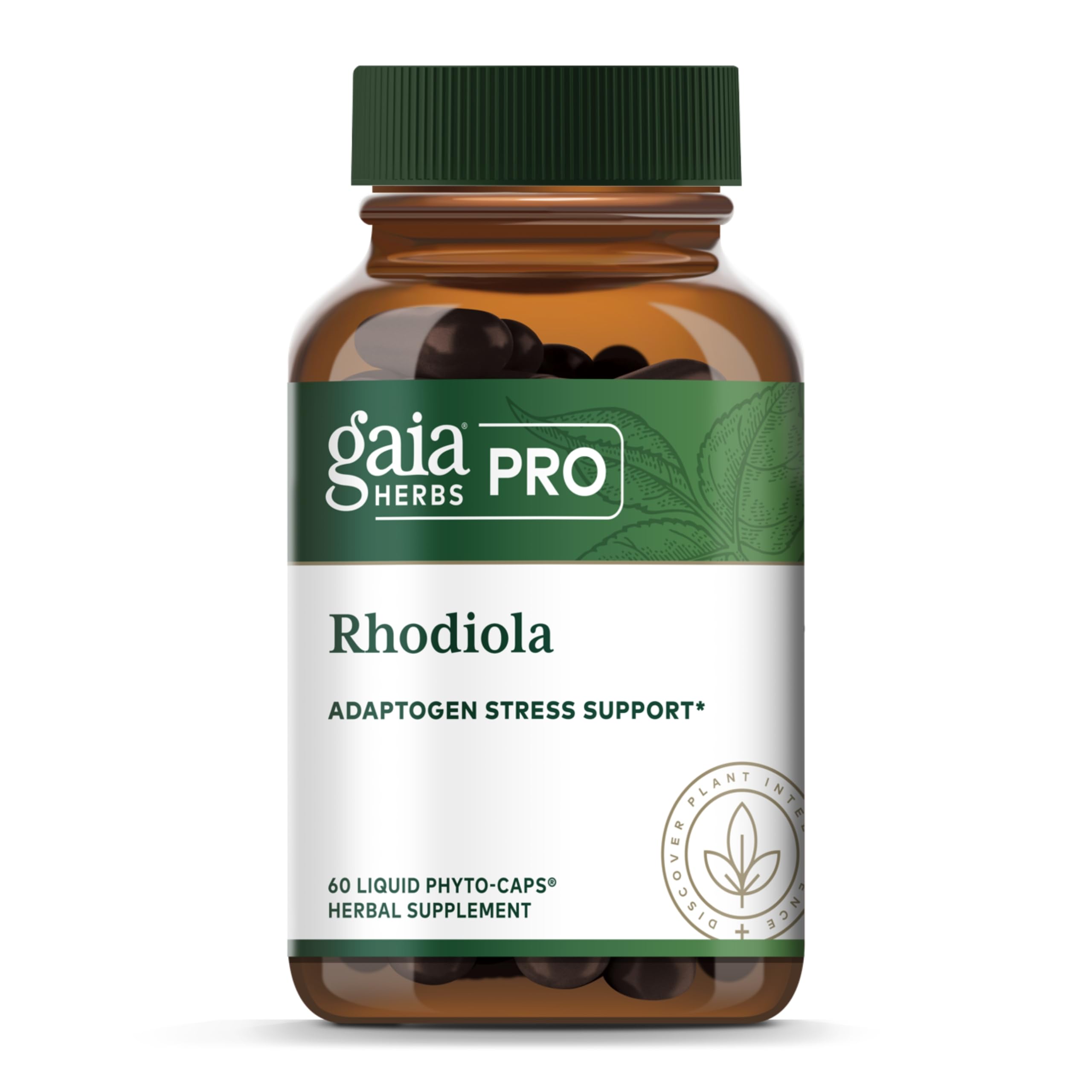 GAIA HERBS PRO Rhodiola - Energy Support Supplement - Adaptogen Support Supplement with Rhodiola Root Extract - Vegan Gluten-Free Soy-Free - 60 Phyto-Caps (30 Servings)