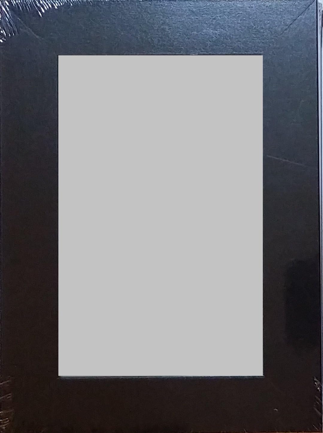 IKEA NYTTJA Frame 5?x7?" Assorted Colors (Set of 4 Frames) (Black