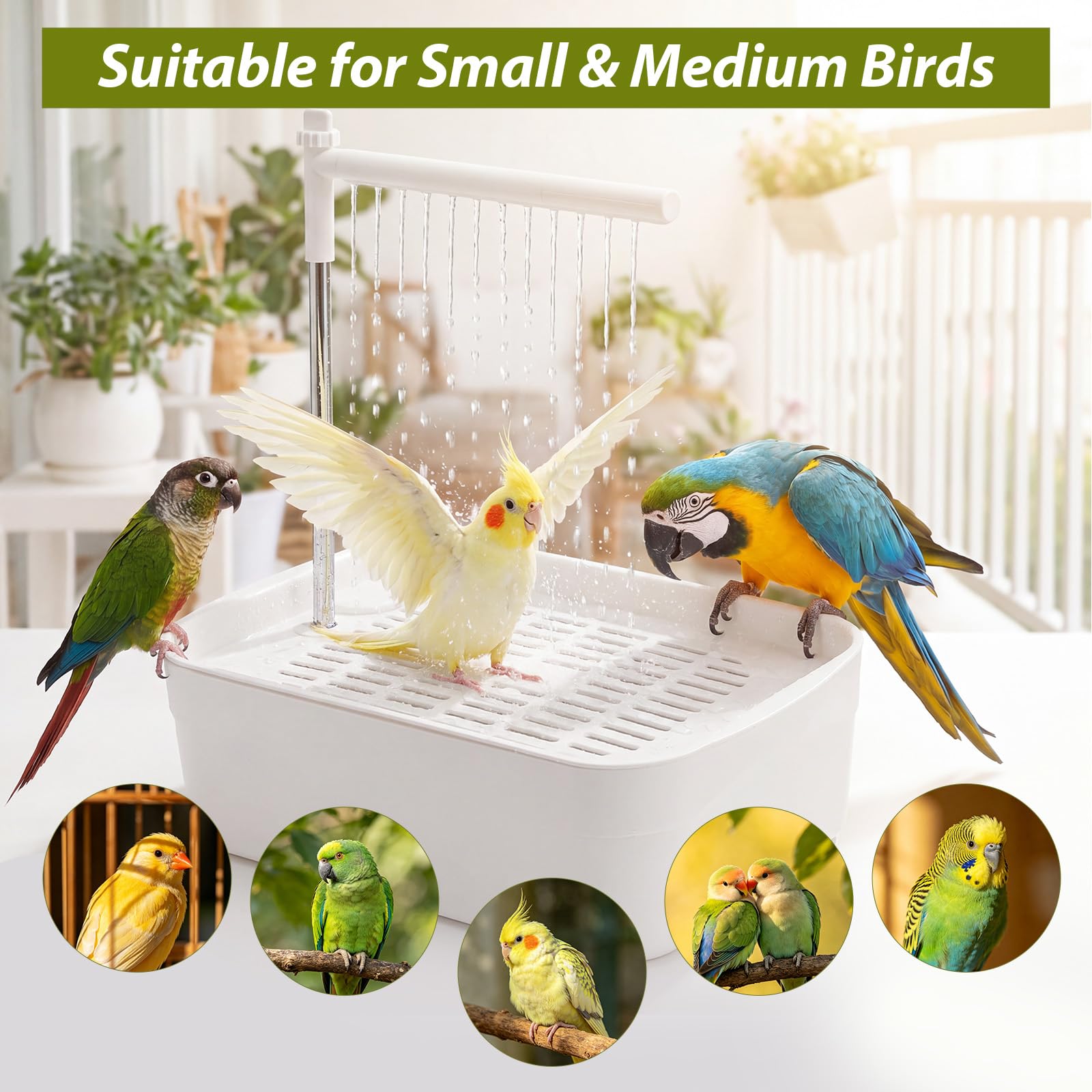 Vogeldusche Wellensittiche, Automatische Vogelbad mit USB Pumpe, Leise Vogel Dusche mit Wasserfall, Vogelbadewanne für Sittiche, Nymphensittiche und kleine Papageien