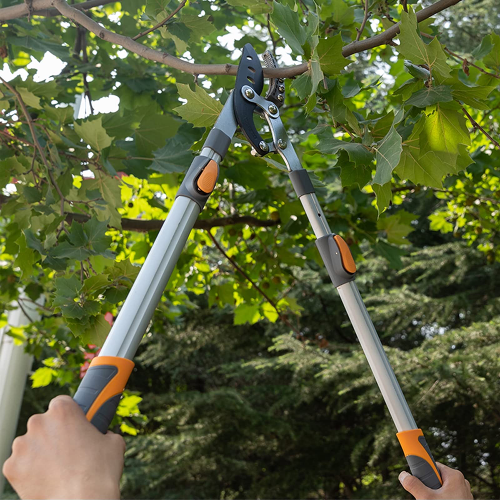 Tijeras De Podar Telescópicas 72-104CM, Tijera De Jardinería Fabricada Corta Ramas Menos De 60MM, Cuchilla De Acero SK-5 Y Recubiertas De Teflón, Corte Bypass De Yunque Profesional