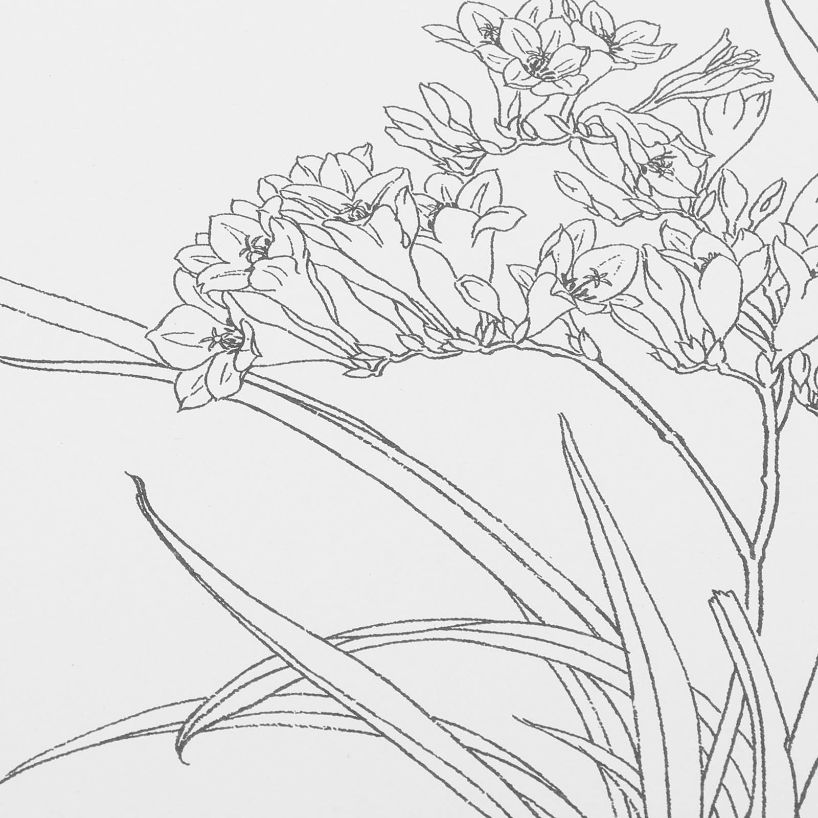 Amazon.co.jp: Garneck 20枚入りの絵画用紙 初心者経験者まで使える