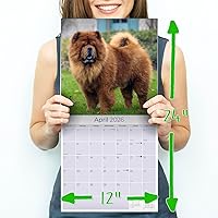 Vista 305 de Razas de Perros 2017