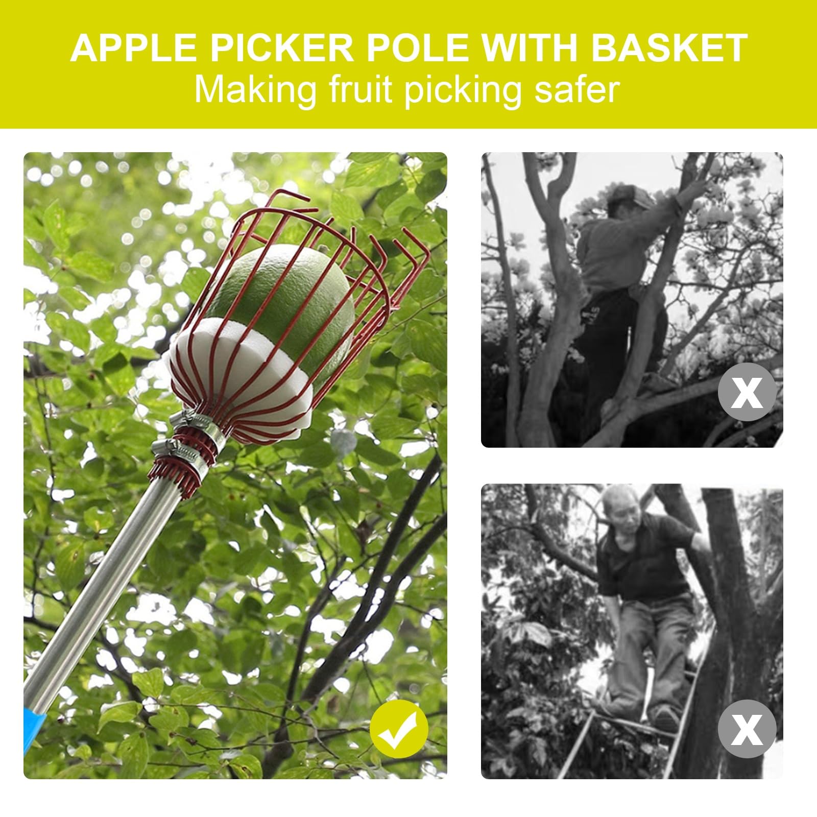 Perche à Fruits, Cueilleur de Fruits télescopique avec Panier, cueilleur figues Manche léger en Acier Inoxydable et Coussinet Protection Mousse(1.2m)