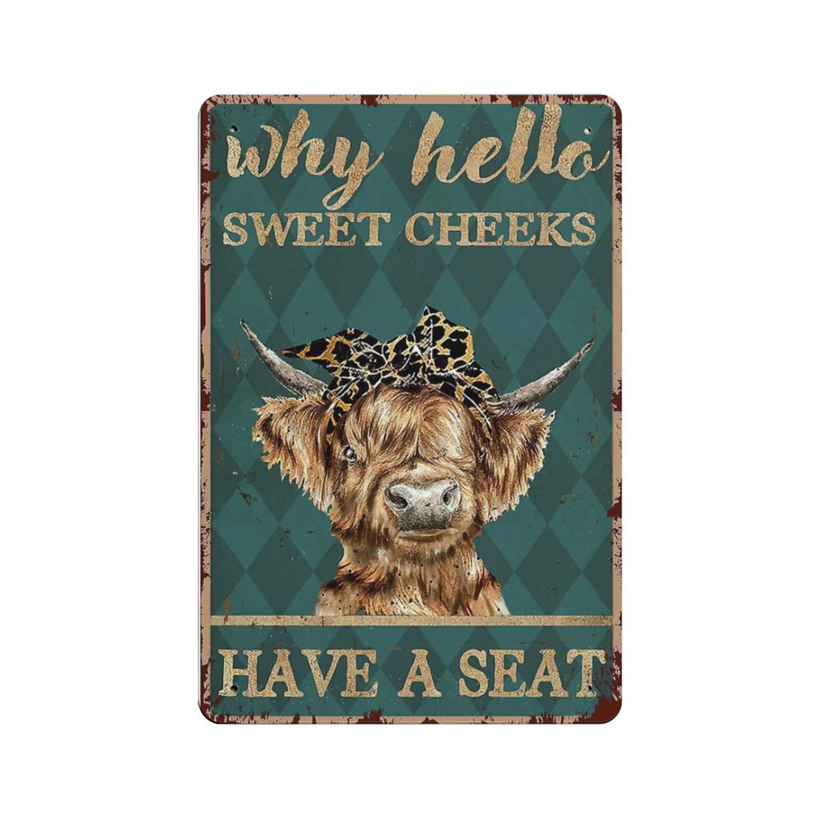AOOEDM Why Hello Sweet Cheeks Have A Seat Vintage Metal Sign for Home Shop Coffee Garage Man Cave Signs Wall Plaque Kitchen Bar Sign Wall Decor Poster