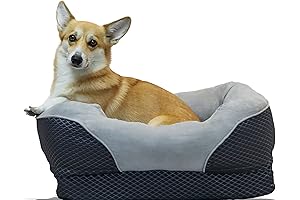 Frisco Plush Orthopedic Front Bolster Cat & Dog Bed w/Removable Cover