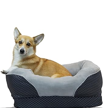 BarksBar Gray Orthopedic Dog Bed - Snuggly Sleeper - with Solid Orthopedic Foam, Extra Comfy Cotton-Padded Rim Cushion and Nonslip Bottom (Small)