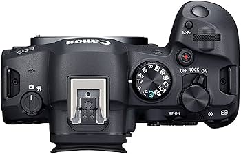 Amazon.com : Canon EOS R6 Mark II Camera Professional Photo Bundle