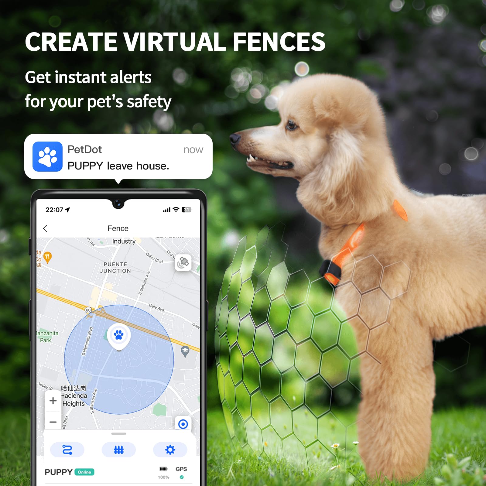 Gps Tracking Dog Collars PitPat Dog GPS Tracker No Subscription