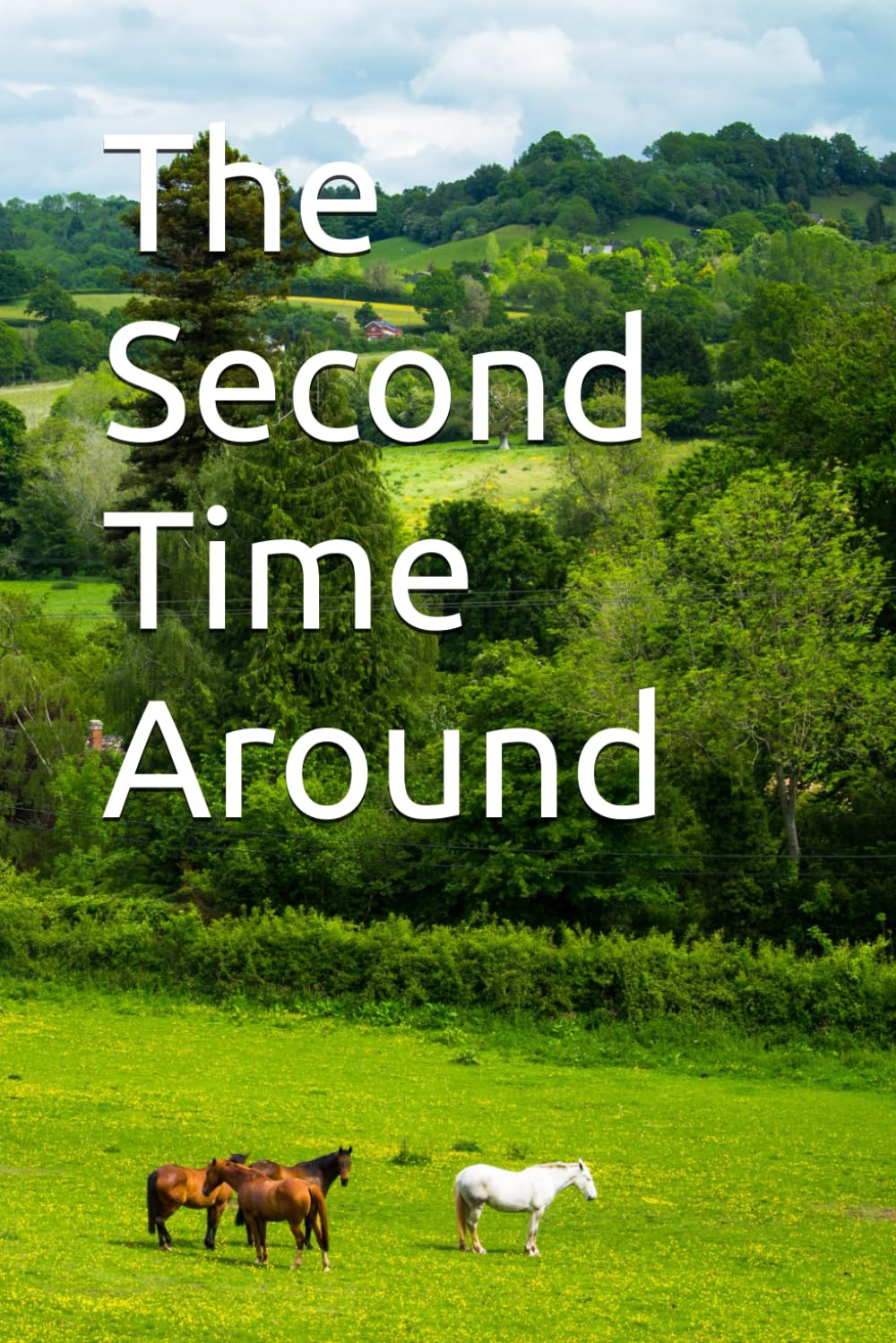 The Second Time Around