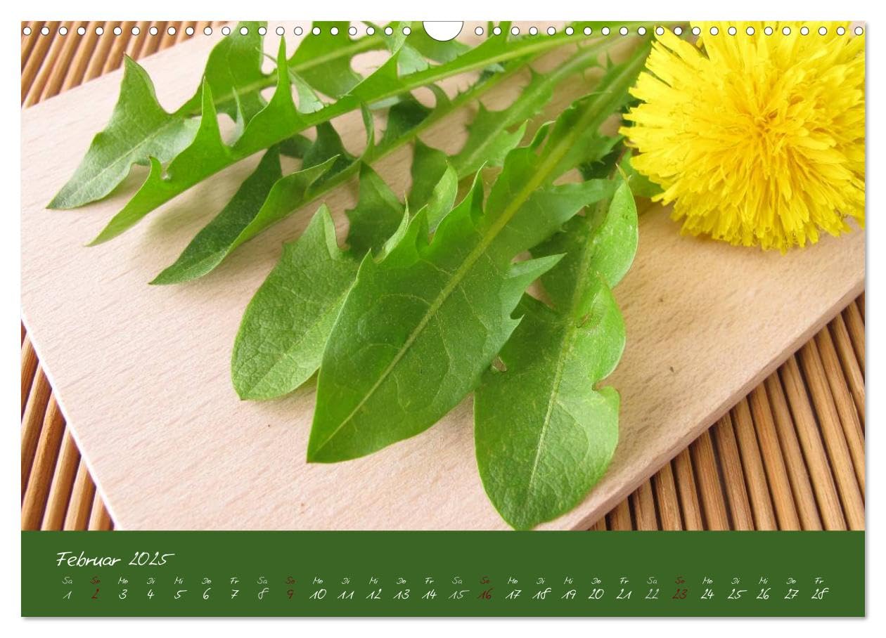 Wildkräuter in der Küche (Wandkalender 2025 DIN A3 quer), CALVENDO Monatskalender: Ein Kräuterkalender für die Küche (CALVENDO Lifestyle)