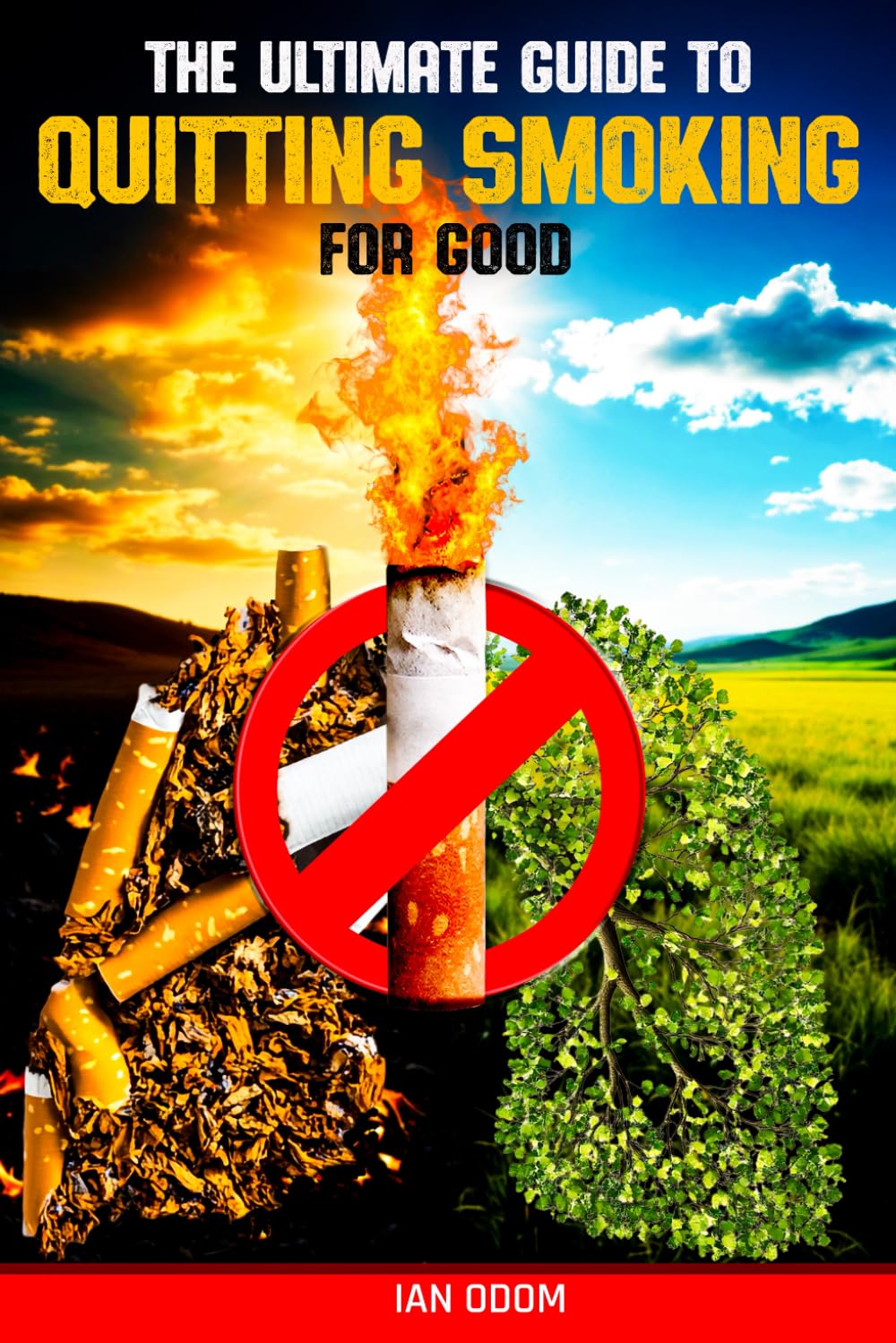 The Ultimate Guide to Quitting Smoking for Good: Breathe Again: A Practical Guide to Quitting Smoking and Reclaiming Your Life