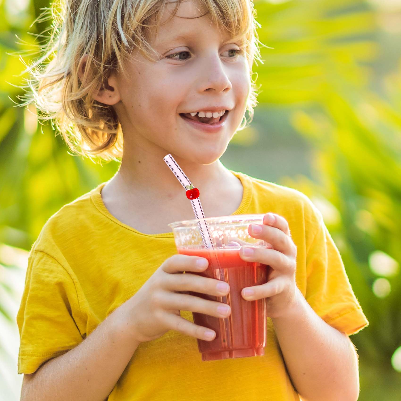 FILOEEX Lot De 4 Pailles En Verre Avec 1 Brosse De | FindTheDeal