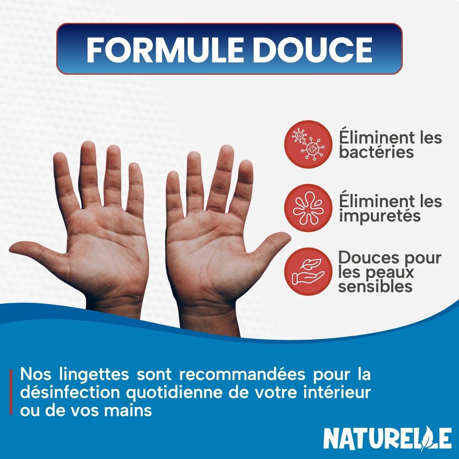Naturelle Lingettes Humides Antibactériennes - Nettoyage De Surfaces Et Des Mains, 1440 , 120 Unités (Lot 12)