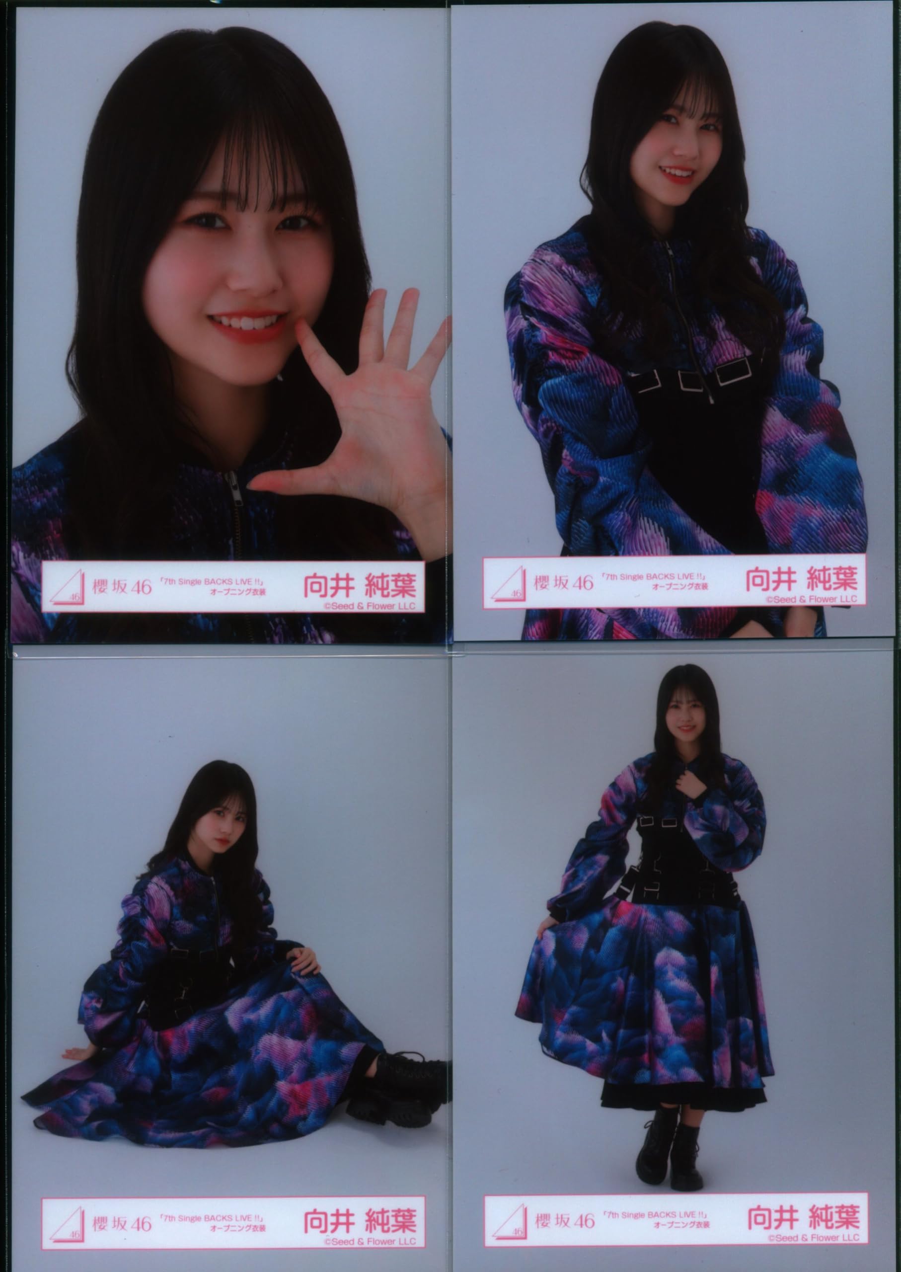Amazon.co.jp: 櫻坂46 ランダム生写真 「7th Single BACKS LIVE