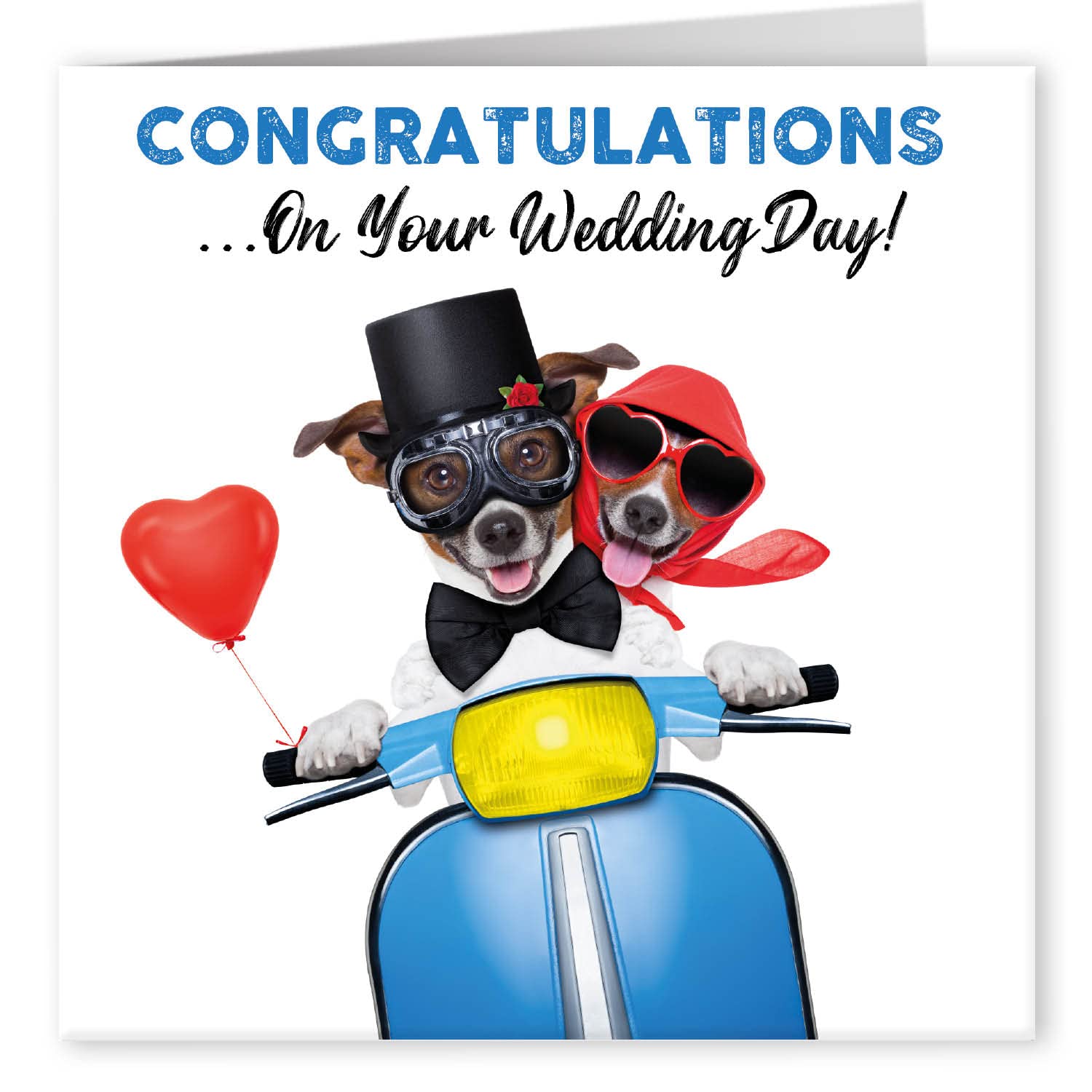 Congratulations Wedding Cute Congratulations Wedding Cute