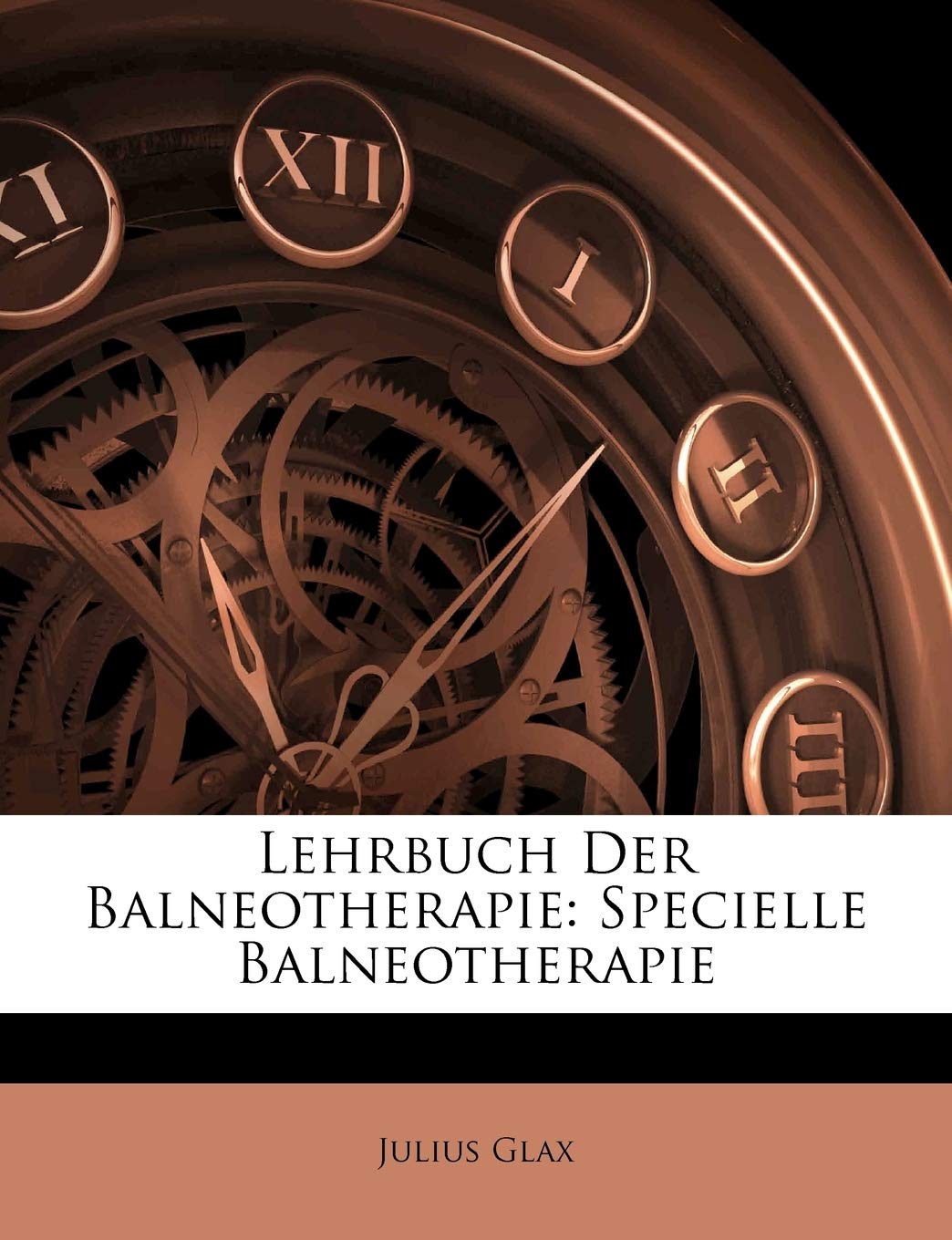 Lehrbuch Der Balneotherapie: Specielle Balneotherapie