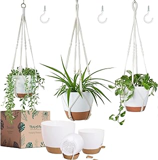 Set of 3 Hanging Planters for Indoor Plants with 10