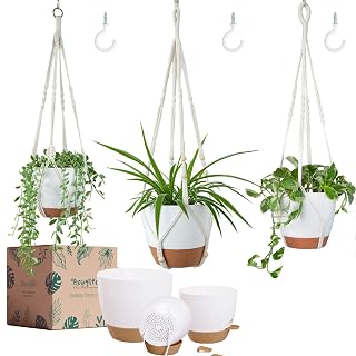 Bouqlife 3 Pack 10/8/7 Inch Hanging Planters for Indoor Plants with Self-Watering Hanging Pots with Drainage, 3 Different Size Macrame Plant Hangers with Hooks White Large - Amazon product rated Grade A