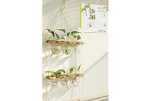 Versatile Glass Propagation Jars: Elevate Your Indoor Greenery